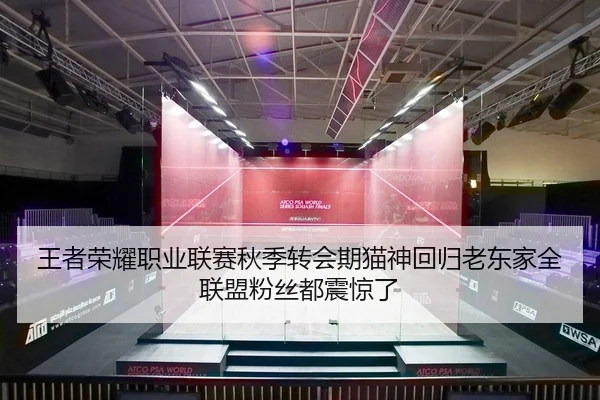 王者荣耀职业联赛秋季转会期猫神回归老东家全联盟粉丝都震惊了